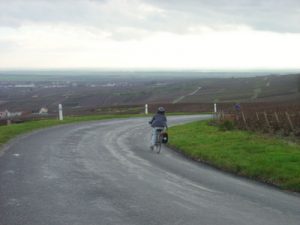 dans les vignobles de Champagne