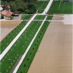 VELYVE-balade_royale_2007-1.jpg