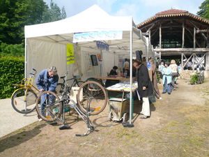 VELYVE-18052008.jpg