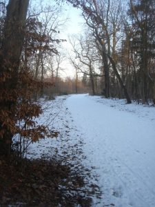 DSC07496.jpg