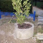 jardinière et parking-vélos