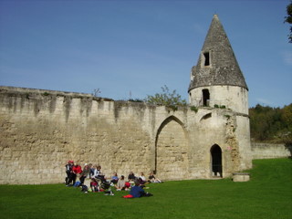 IMGP2596_19102008.jpg